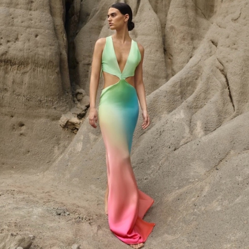 Baobab rafia dress in color tauro size small NWT